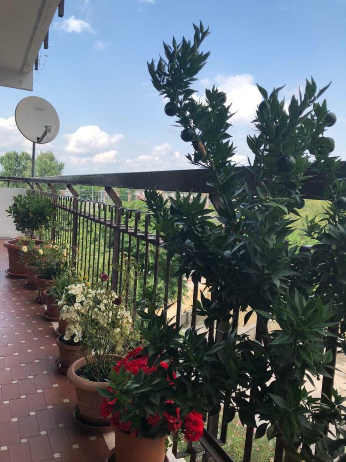 Venice H.S.Garden Маргера Экстерьер фото